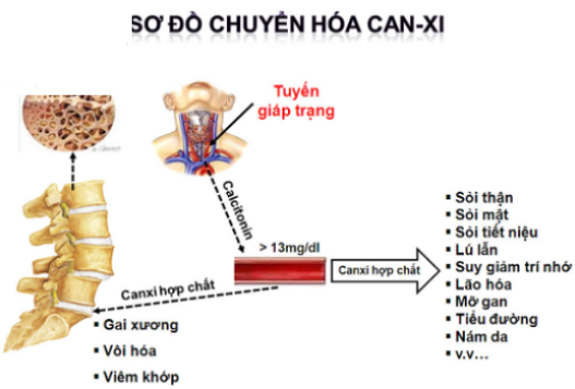 20200713_094604_414883_roi-loan-chuyen-hoa.max-1800x1800